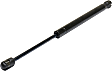 Driver and Passenger Side Hood Lift Support, Sedan
