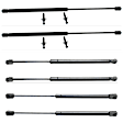 Driver and Passenger Side Hood, Liftgate Glass and Liftgate Lift Supports, Sport Utility