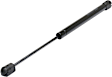 Driver and Passenger Side Hood, Liftgate Glass and Liftgate Lift Supports, Sport Utility