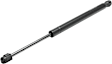 Driver and Passenger Side Hood, Liftgate Glass and Liftgate Lift Supports, Sport Utility