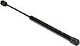 Driver and Passenger Side Hood, Liftgate Glass and Liftgate Lift Supports, Sport Utility