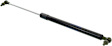 Driver and Passenger Side Hood Lift Support, Sedan