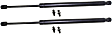 Driver and Passenger Side Liftgate Lift Supports, Sport Utility