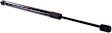 Driver and Passenger Side Trunk Lid Lift Support, Sedan