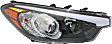 Driver and Passenger Side Headlights, with Bulbs, Halogen, Sedan, without LED position (parking) light