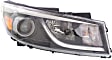 Driver and Passenger Side Headlights, with Bulbs, Halogen, without LED position (parking) light