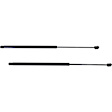 Driver and Passenger Side Hood Lift Support, Sedan