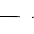 Driver and Passenger Side Hood Lift Support, Sedan