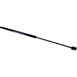 Driver and Passenger Side Hood Lift Support, Sedan