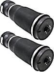Rear, Driver and Passenger Side Air Spring, Set of 2