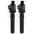 Ignition Coil, Set of 2