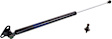 Driver and Passenger Side Liftgate Lift Support, 4-Door, Sport Utility