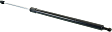 2010-2015 Lexus RX350 - Driver and Passenger Side Liftgate, Lift Supports, For Models with Power Liftgate