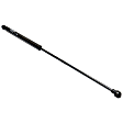 Driver and Passenger Side Liftgate Lift Support