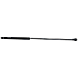Driver and Passenger Side Liftgate Lift Support