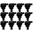 Ignition Coil, Set of 12