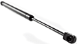 Driver and Passenger Side Hood Lift Support, Coupe