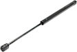 Driver and Passenger Side Hood Lift Support, Sport Utility
