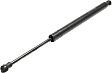 Driver and Passenger Side Hood Lift Support, Sedan