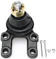 Front, Driver and Passenger Side, Lower Ball Joints