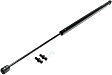Driver and Passenger Side Trunk Lid Lift Support