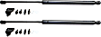 Driver and Passenger Side Trunk Lid Lift Support, Coupe