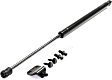Driver and Passenger Side Trunk Lid Lift Support, Coupe