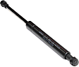 Driver and Passenger Side Trunk Lid Lift Support, Convertible