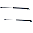 Driver and Passenger Side Liftgate Lift Support, 2.5L, 4Cyl, Set of 2