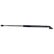 Driver and Passenger Side Liftgate Lift Support, 2.5L, 4Cyl, Set of 2