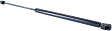 Driver and Passenger Side Liftgate Lift Support, Convertible/Sport Utility