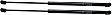 Driver and Passenger Side Liftgate Lift Supports, without Brackets