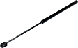 Driver and Passenger Side Liftgate Lift Supports, without Brackets
