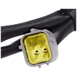 Oxygen Sensors, Set of 2, 4-Wire