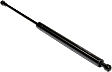 Driver and Passenger Side Trunk Lid Lift Support, Coupe