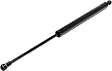 Driver and Passenger Side Trunk Lid Lift Support, Coupe