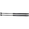 Driver and Passenger Side Liftgate Lift Support