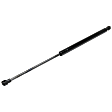 Driver and Passenger Side Liftgate Lift Support