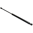 Driver and Passenger Side Liftgate Lift Support