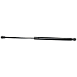 Driver and Passenger Side Liftgate Lift Support