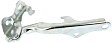 Driver and Passenger Side Hood Hinges