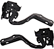 Driver and Passenger Side Hood Hinges