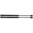 Driver and Passenger Side Hood, Lift Supports, Sport Utility