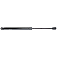 Driver and Passenger Side Hood, Lift Supports, Sport Utility