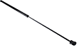 Driver and Passenger Side Hood Lift Support, Sedan