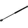 Driver and Passenger Side Hood Lift Support