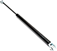 Driver and Passenger Side Trunk Lid Lift Support, Sport Utility