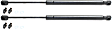 Driver and Passenger Side Trunk Lid Lift Support, Sport Utility/Standard Cab Pickup