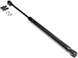 Driver and Passenger Side Trunk Lid Lift Support, Sport Utility/Standard Cab Pickup