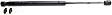 Driver and Passenger Side Trunk Lid Lift Support, Sport Utility/Standard Cab Pickup